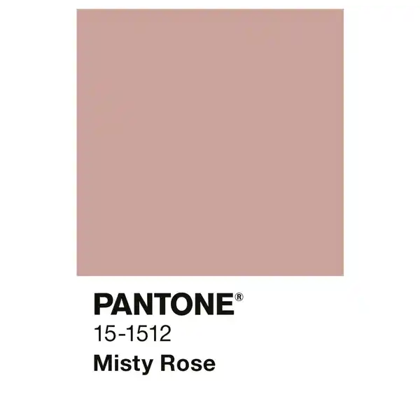 Bild 2 von ALPINA Wandfarbe »PANTONE«, Misty Rose, matt, 2,5 l