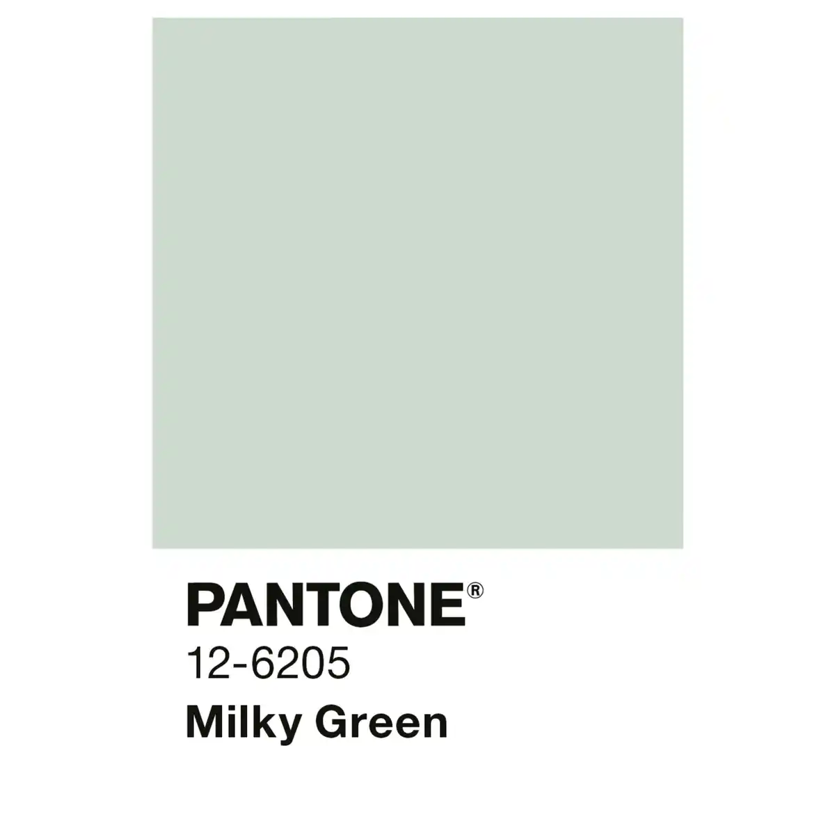 Bild 3 von ALPINA Wandfarbe »PANTONE«, Milky Green, matt, 2,5 l