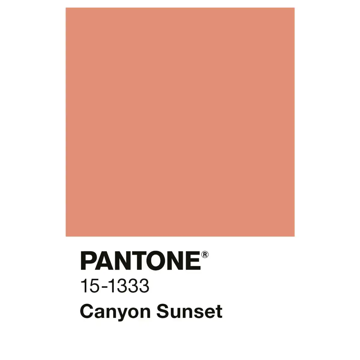 Bild 3 von ALPINA Wandfarbe »PANTONE«, Canyon Sunset, matt, 2,5 l