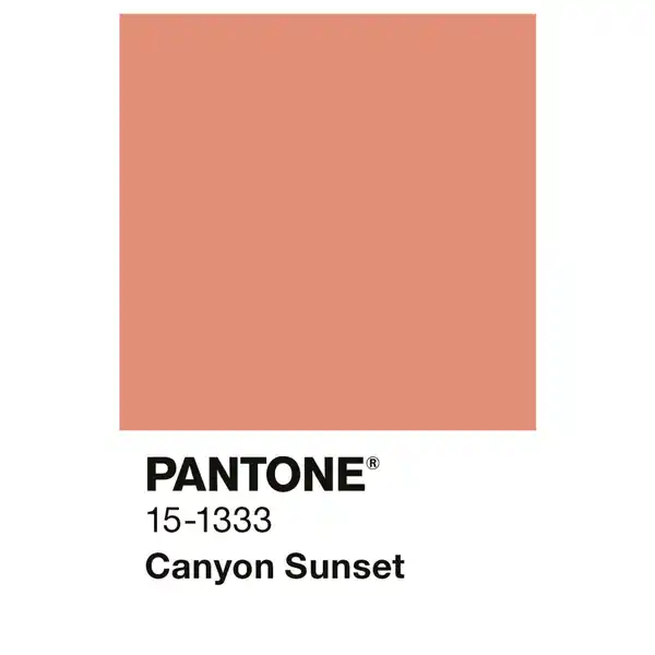 Bild 3 von ALPINA Wandfarbe »PANTONE«, Canyon Sunset, matt, 2,5 l
