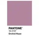 Bild 3 von ALPINA Wandfarbe »PANTONE«, Orchid Haze, matt, 2,5 l