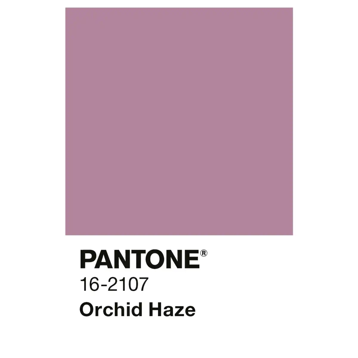 Bild 3 von ALPINA Wandfarbe »PANTONE«, Orchid Haze, matt, 2,5 l