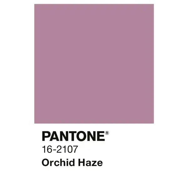 Bild 3 von ALPINA Wandfarbe »PANTONE«, Orchid Haze, matt, 2,5 l