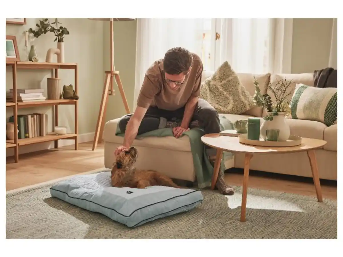 Bild 3 von zoofari® Hundebett, wärmend und kühlend