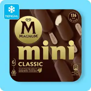 LANGNESE Magnum-Minis, Verschiedene Sorten