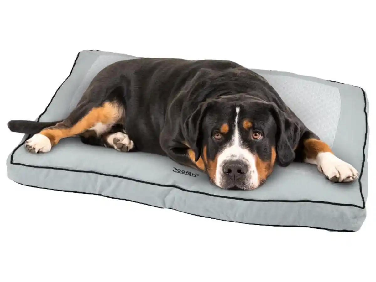 Bild 2 von zoofari® Hundebett, wärmend und kühlend