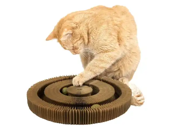 Bild 3 von zoofari® 3in1 Wandelbare Kratzpappe, inkl. Spielball aus Katzenminze