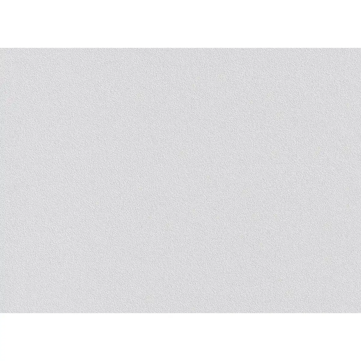 Bild 2 von ERFURT Vliestapete »Vliesfaser Protect 203«, 53 cm x 1005 cm, weiß