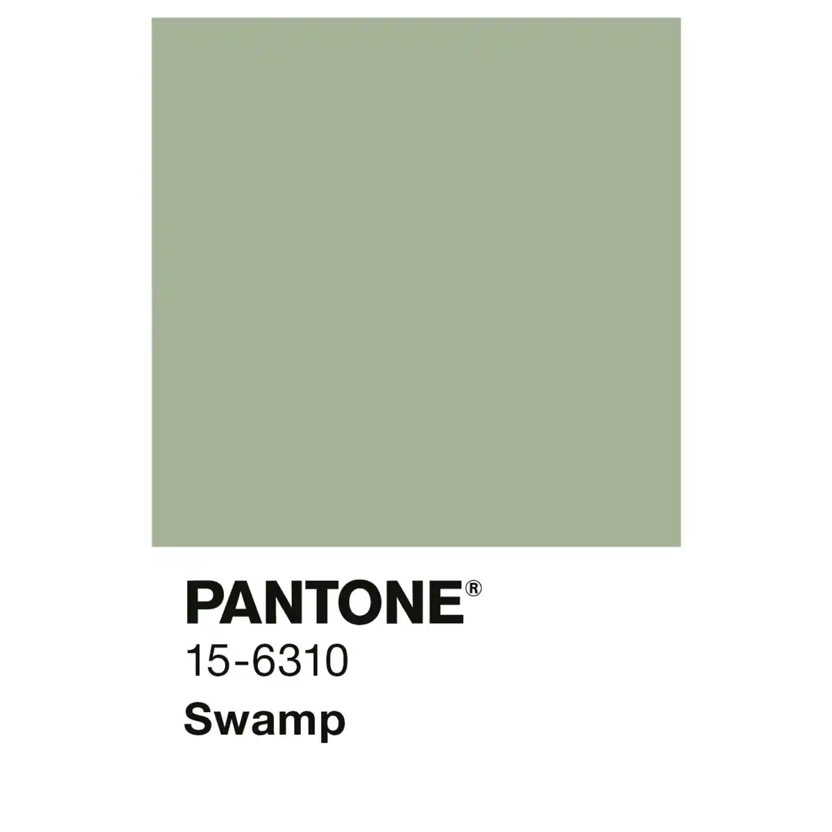 Bild 3 von ALPINA Wandfarbe »PANTONE«, Swamp, matt, 2,5 l
