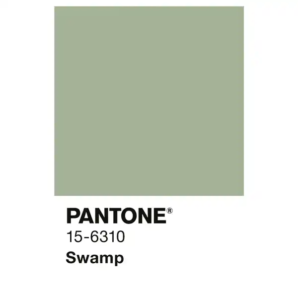 Bild 3 von ALPINA Wandfarbe »PANTONE«, Swamp, matt, 2,5 l