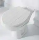 Bild 1 von WC Sitz Holz mit Soft Close gerillt weiß