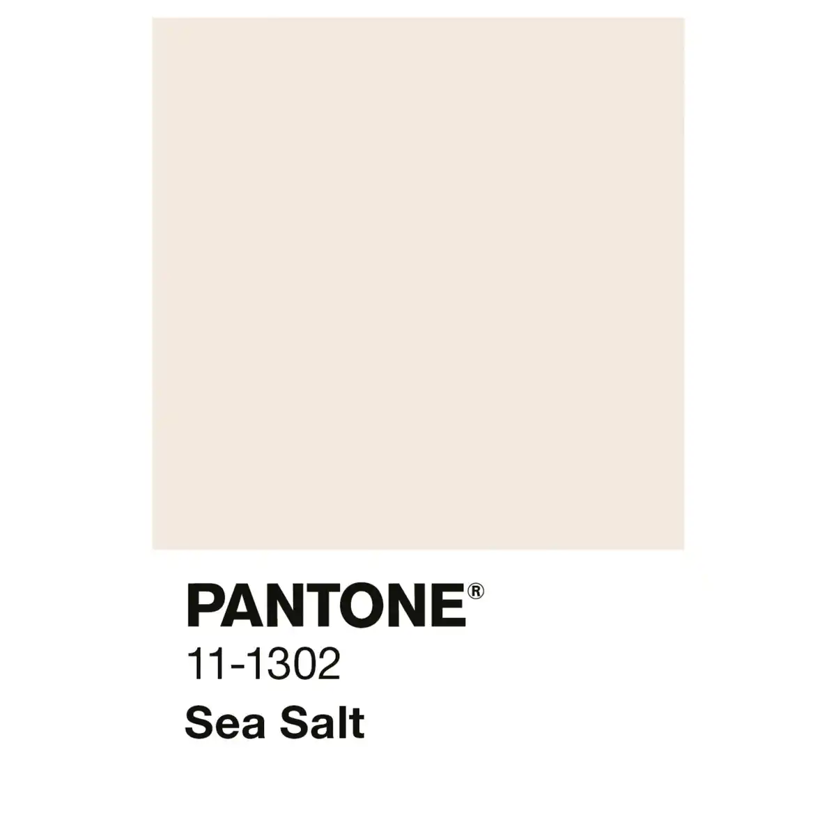 Bild 2 von ALPINA Wandfarbe »PANTONE«, Sea Salt, matt, 2,5 l