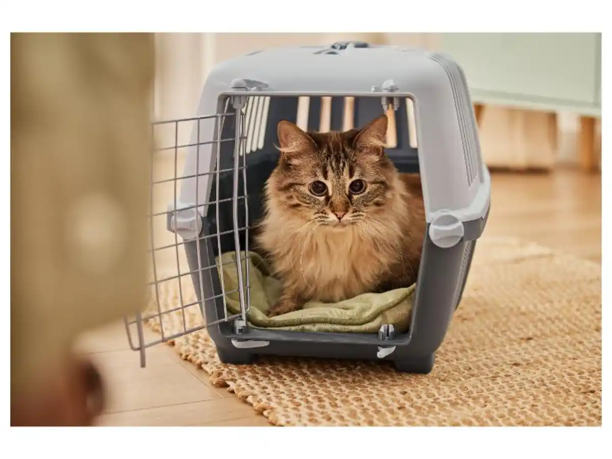 Bild 2 von zoofari® Katzentoilette/-transportbox