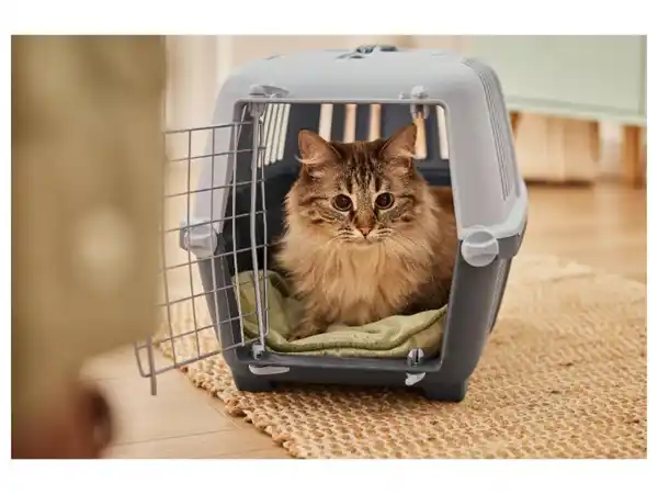 Bild 2 von zoofari® Katzentoilette/-transportbox