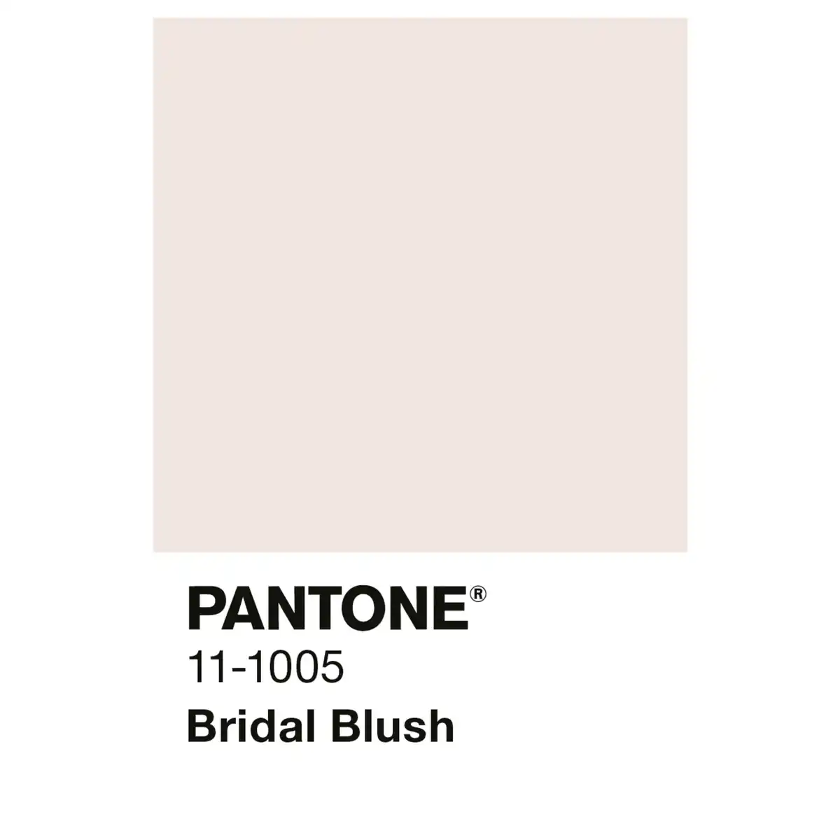 Bild 3 von ALPINA Wandfarbe »PANTONE«, Bridal Blush, matt, 2,5 l