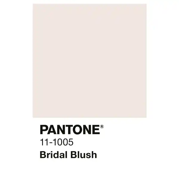 Bild 3 von ALPINA Wandfarbe »PANTONE«, Bridal Blush, matt, 2,5 l