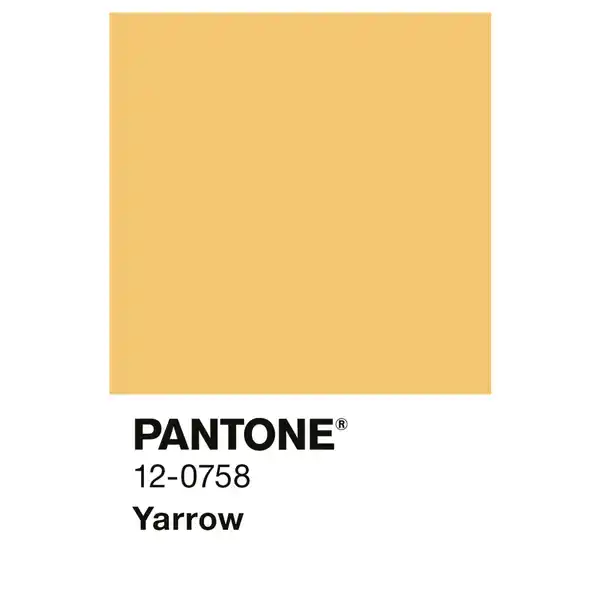 Bild 3 von ALPINA Wandfarbe »PANTONE«, Yarrow, matt, 2,5 l