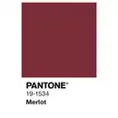 Bild 3 von ALPINA Wandfarbe »PANTONE«, Merlot, matt, 2,5 l