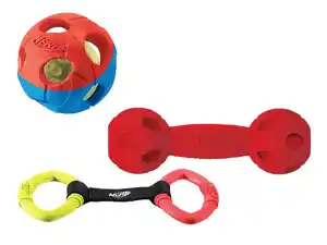 NERF DOG Hundespielzeug