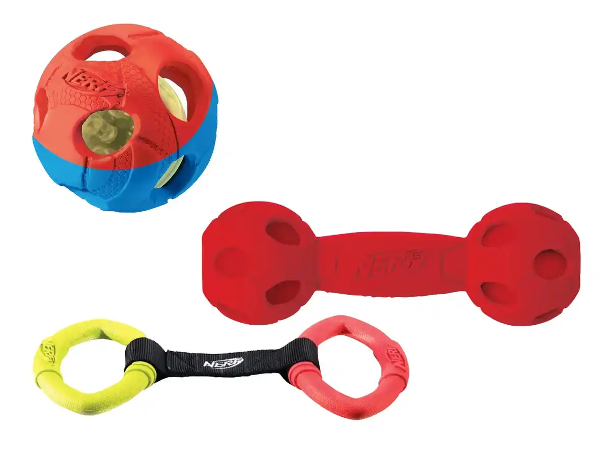 Bild 1 von NERF DOG Hundespielzeug