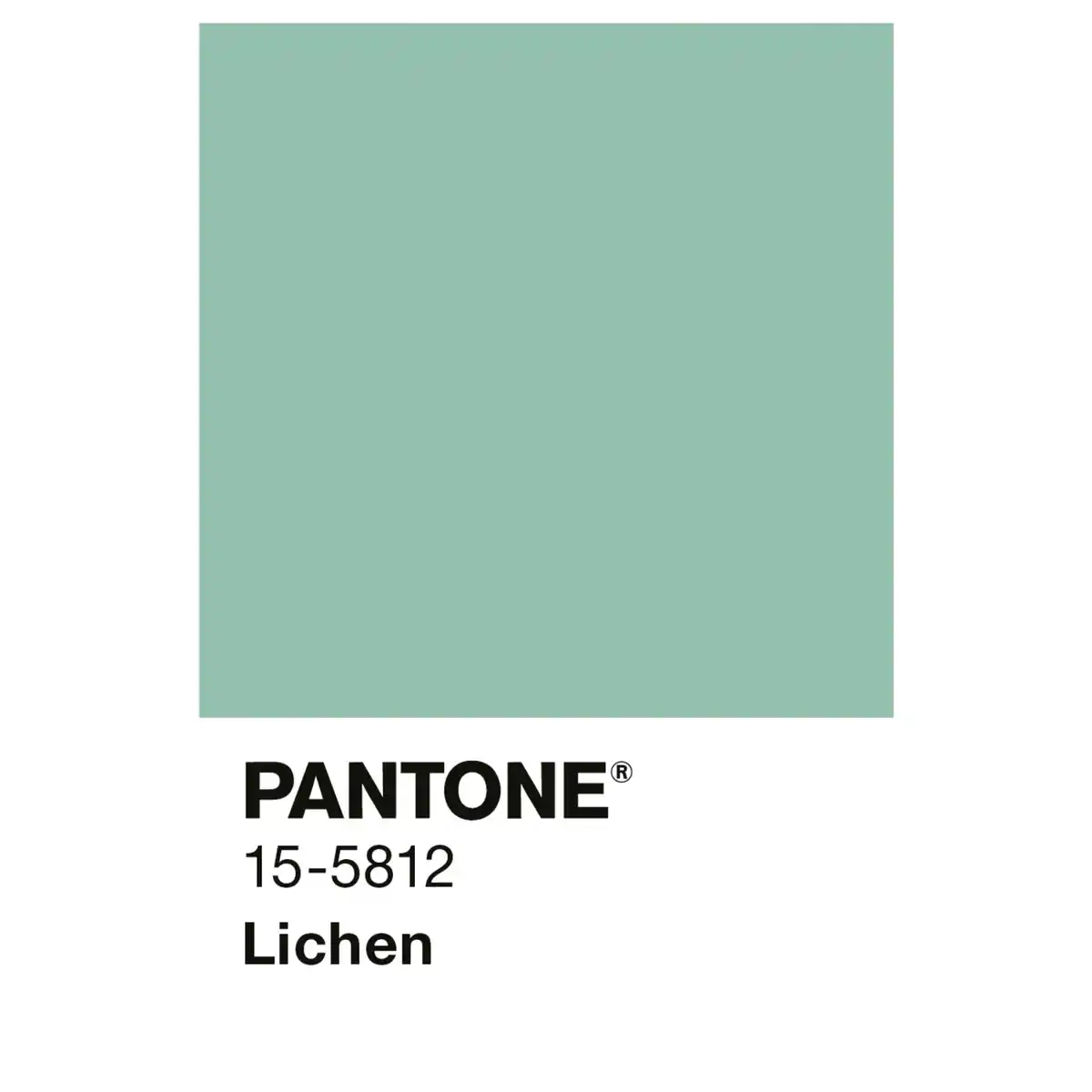 Bild 3 von ALPINA Wandfarbe »PANTONE«, Lichen, matt, 2,5 l