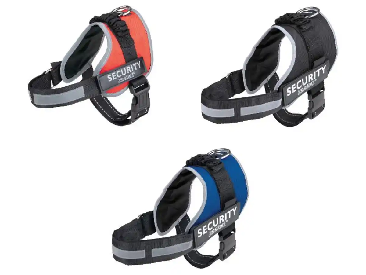 Bild 1 von zoofari® Hundegeschirr, mit reflektierenden Deko-Elementen