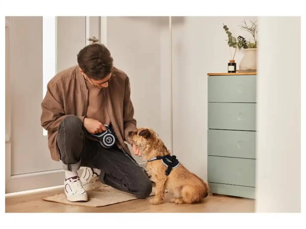 Bild 2 von zoofari® Hundegeschirr, mit reflektierenden Deko-Elementen