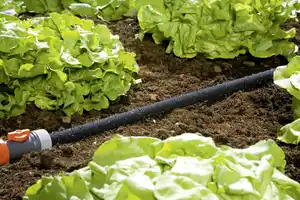 Gardena Perl-Regner 15 m