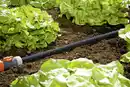 Bild 1 von Gardena Perl-Regner 15 m