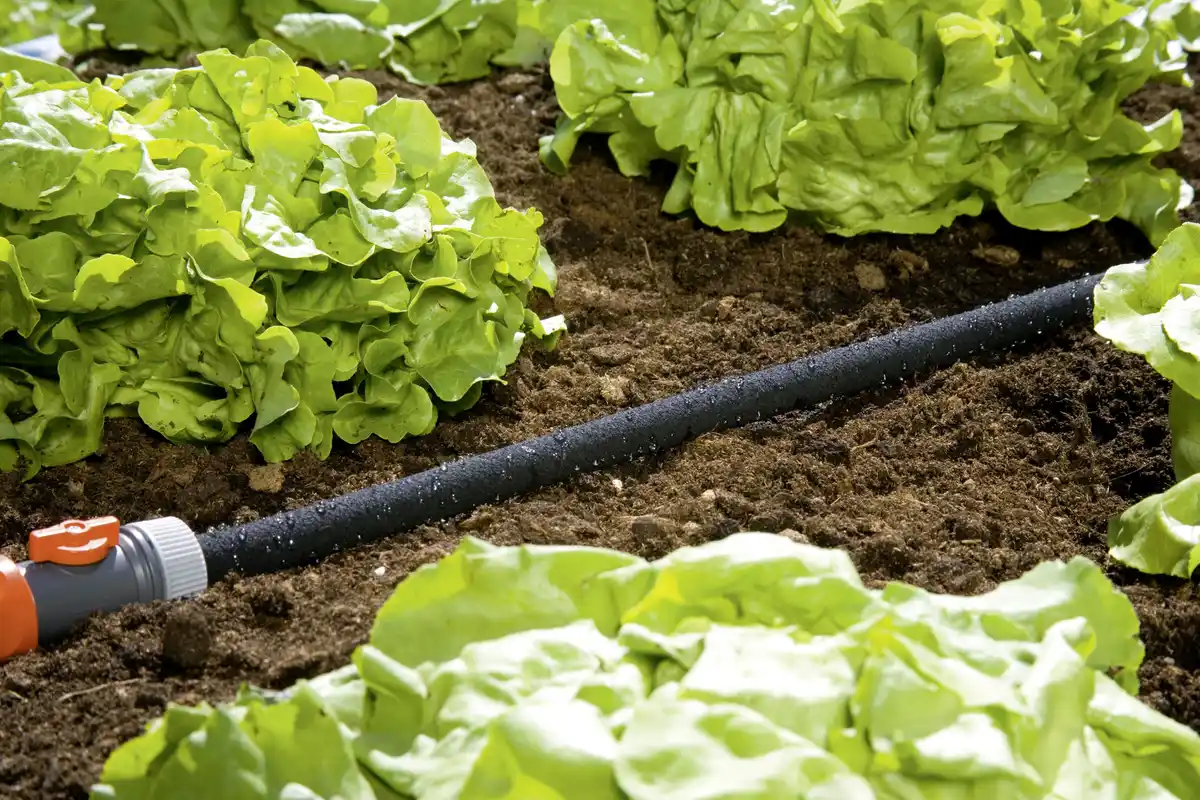 Bild 1 von Gardena Perl-Regner 15 m