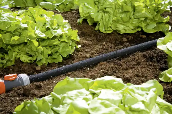 Bild 1 von Gardena Perl-Regner 15 m