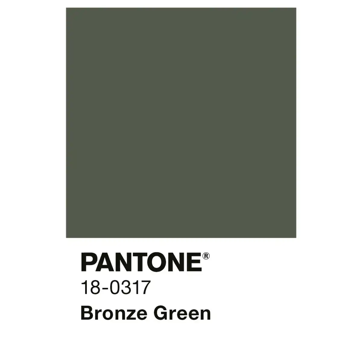 Bild 2 von ALPINA Wandfarbe »PANTONE«, Bronze Green, matt, 2,5 l