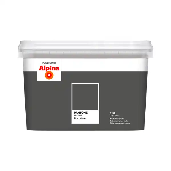 Bild 1 von ALPINA Wandfarbe »PANTONE«, Plum Kitten, matt, 2,5 l