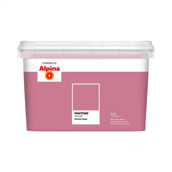 Bild 1 von ALPINA Wandfarbe »PANTONE«, Orchid Haze, matt, 2,5 l