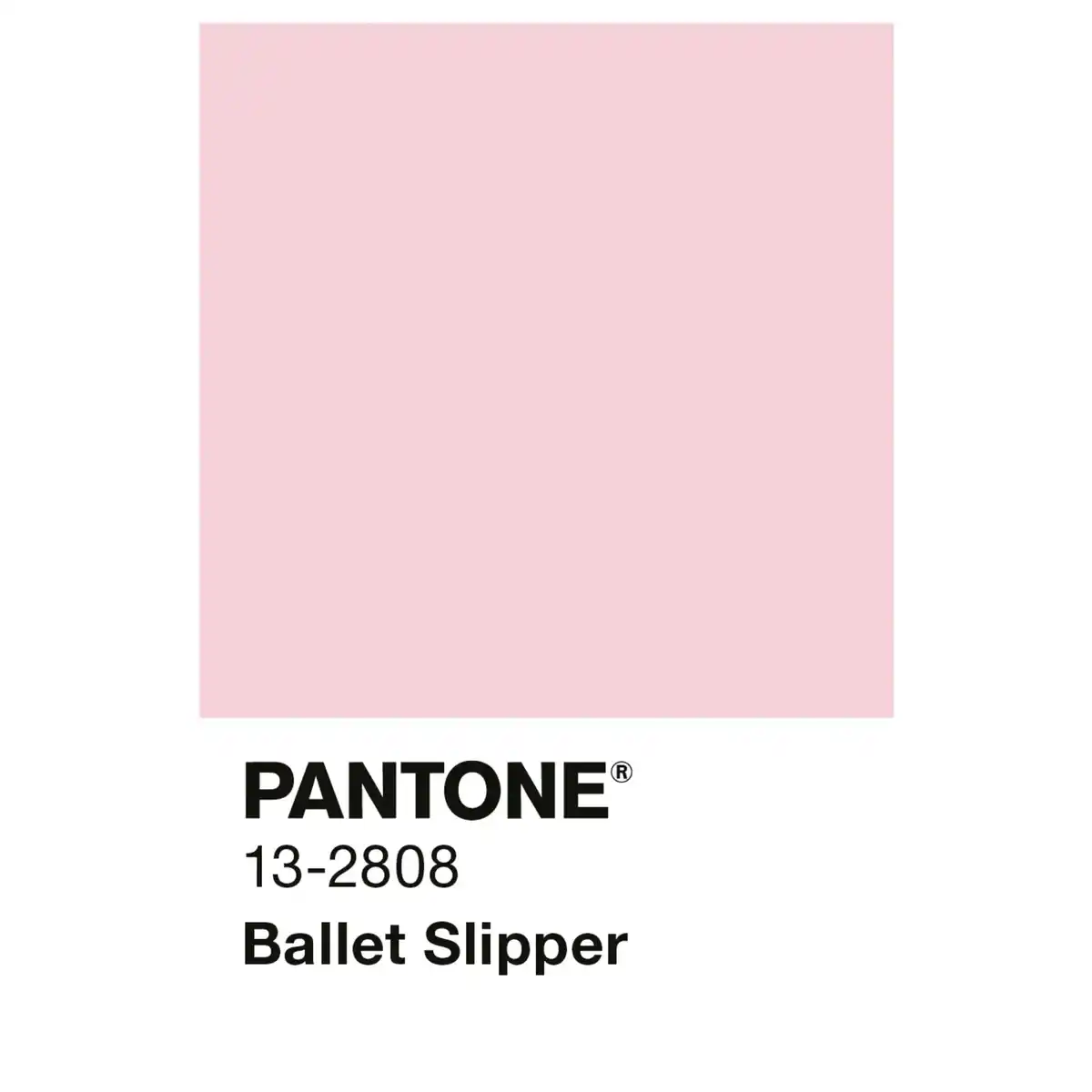 Bild 3 von ALPINA Wandfarbe »PANTONE«, Ballet Slipper, matt, 2,5 l