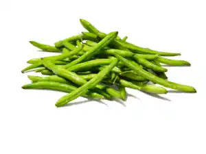 Deutsche Buschbohnen,  500 g