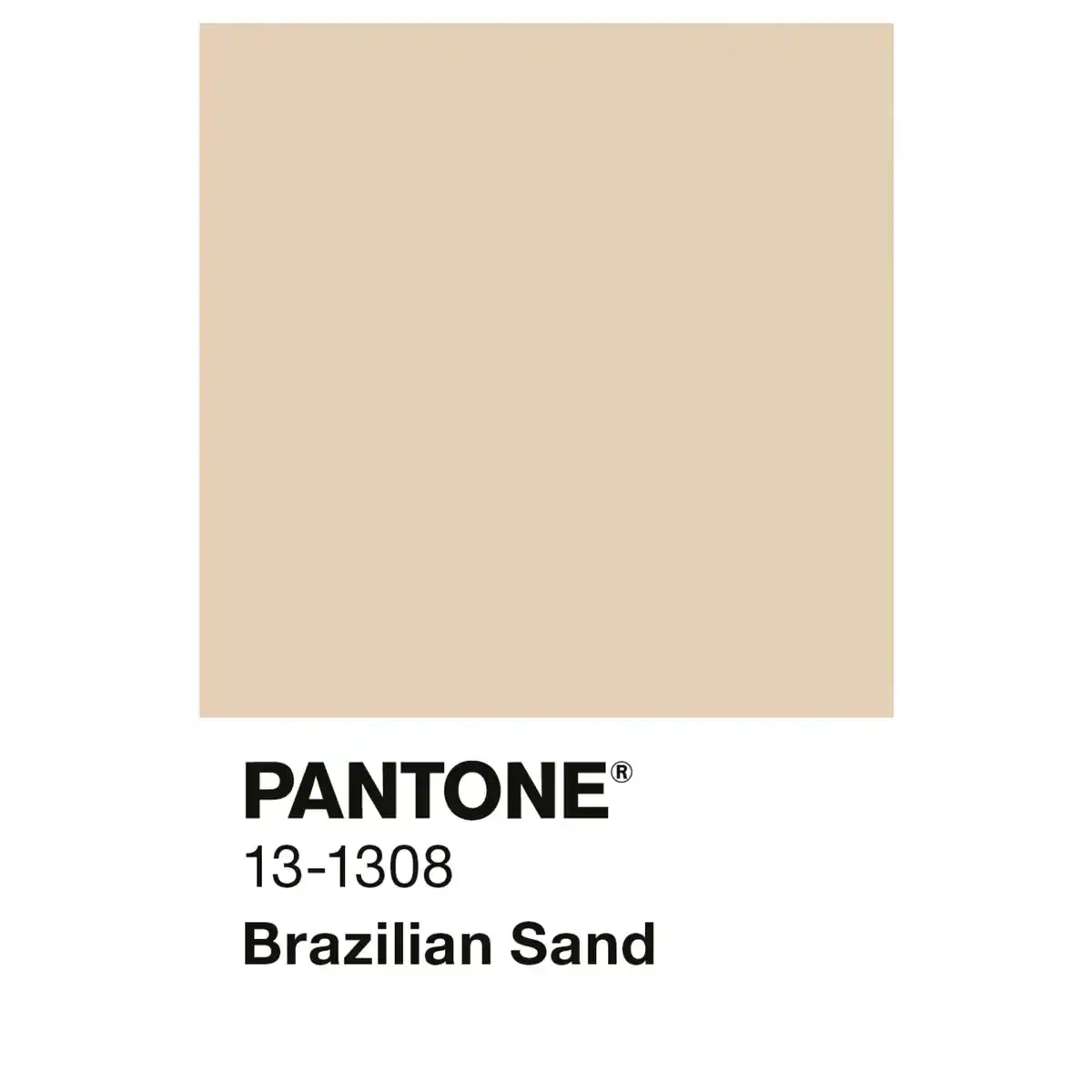 Bild 3 von ALPINA Wandfarbe »PANTONE«, Brazilian Sand, matt, 2,5 l