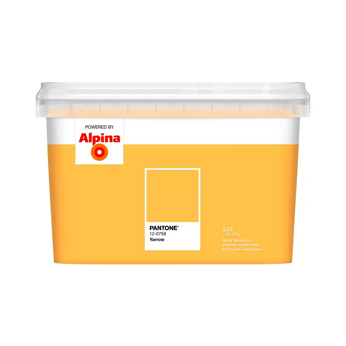 Bild 1 von ALPINA Wandfarbe »PANTONE«, Yarrow, matt, 2,5 l