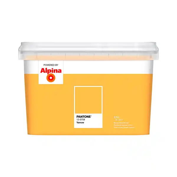 Bild 1 von ALPINA Wandfarbe »PANTONE«, Yarrow, matt, 2,5 l