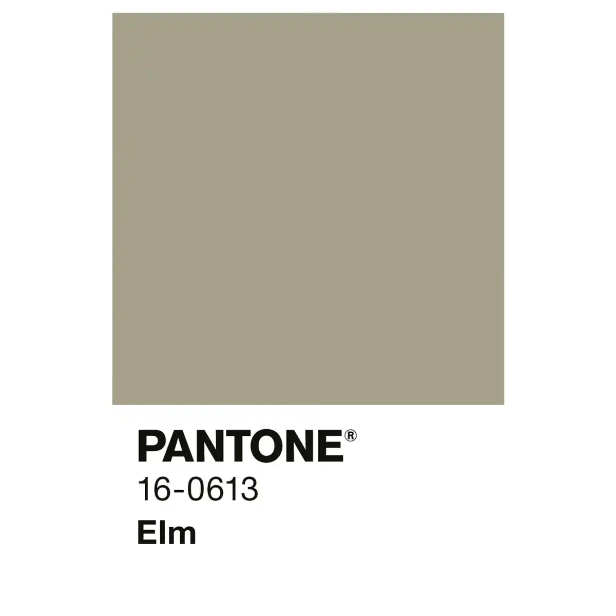 Bild 2 von ALPINA Wandfarbe »PANTONE«, Elm, matt, 2,5 l