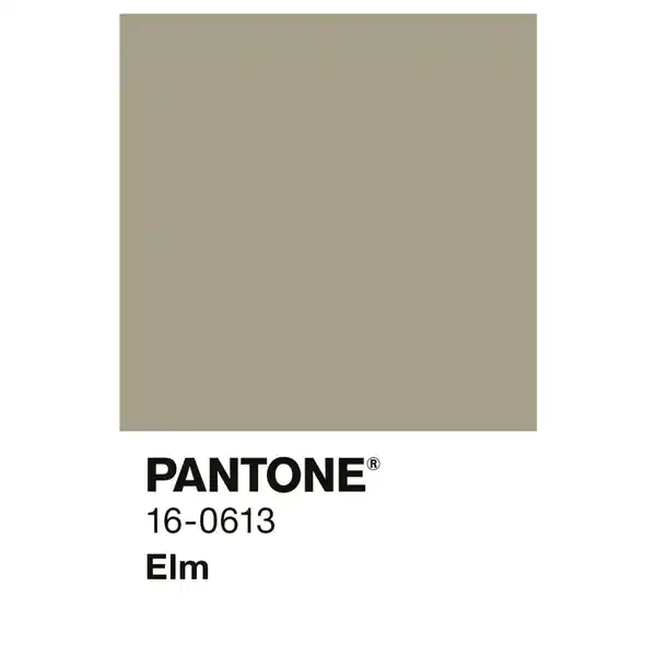 Bild 2 von ALPINA Wandfarbe »PANTONE«, Elm, matt, 2,5 l