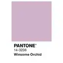 Bild 2 von ALPINA Wandfarbe »PANTONE«, Winsome Orchid, matt, 2,5 l