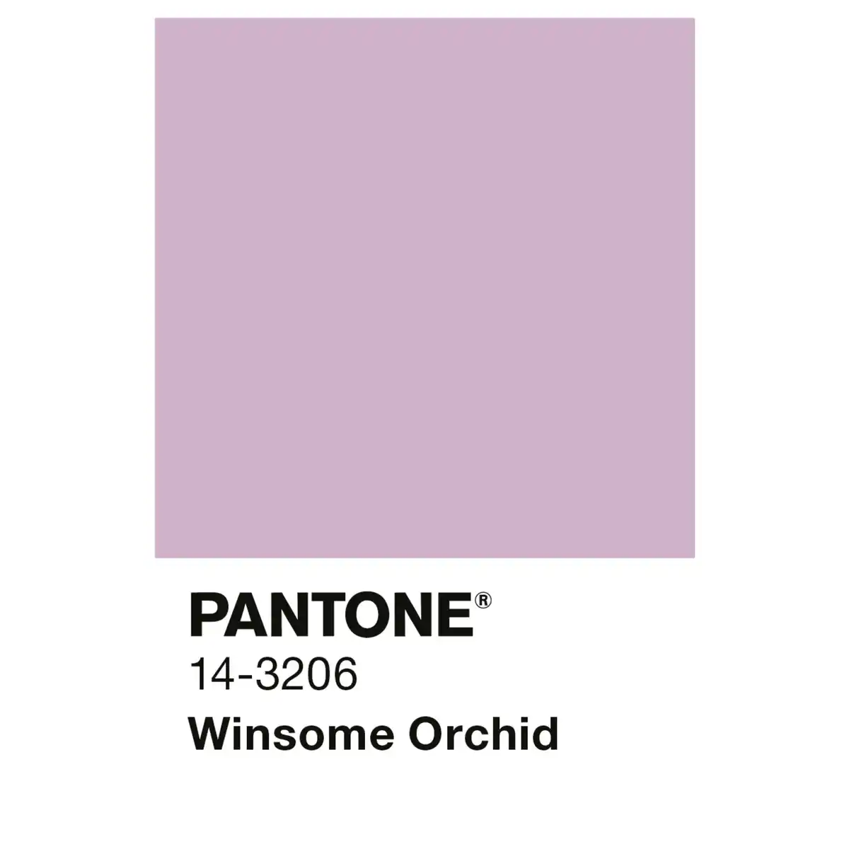Bild 2 von ALPINA Wandfarbe »PANTONE«, Winsome Orchid, matt, 2,5 l