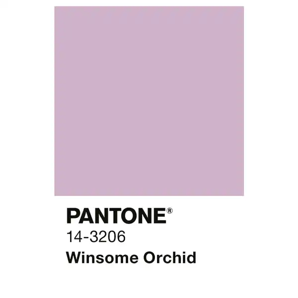Bild 2 von ALPINA Wandfarbe »PANTONE«, Winsome Orchid, matt, 2,5 l