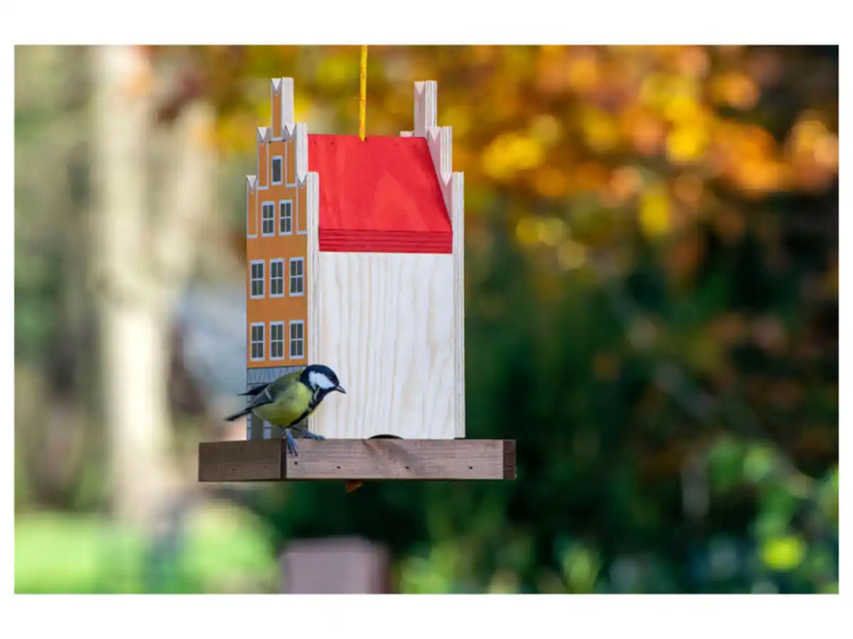 Bild 3 von dobar Deko-Vogelhaus »Münster«, 19 x 19 x 30 cm, aus Holz