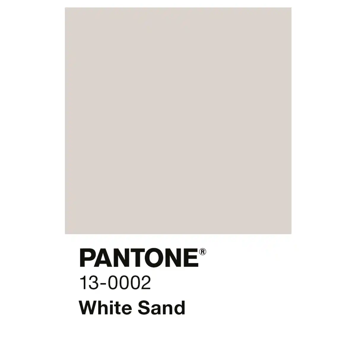 Bild 2 von ALPINA Wandfarbe »PANTONE«, White Sand, matt, 2,5 l