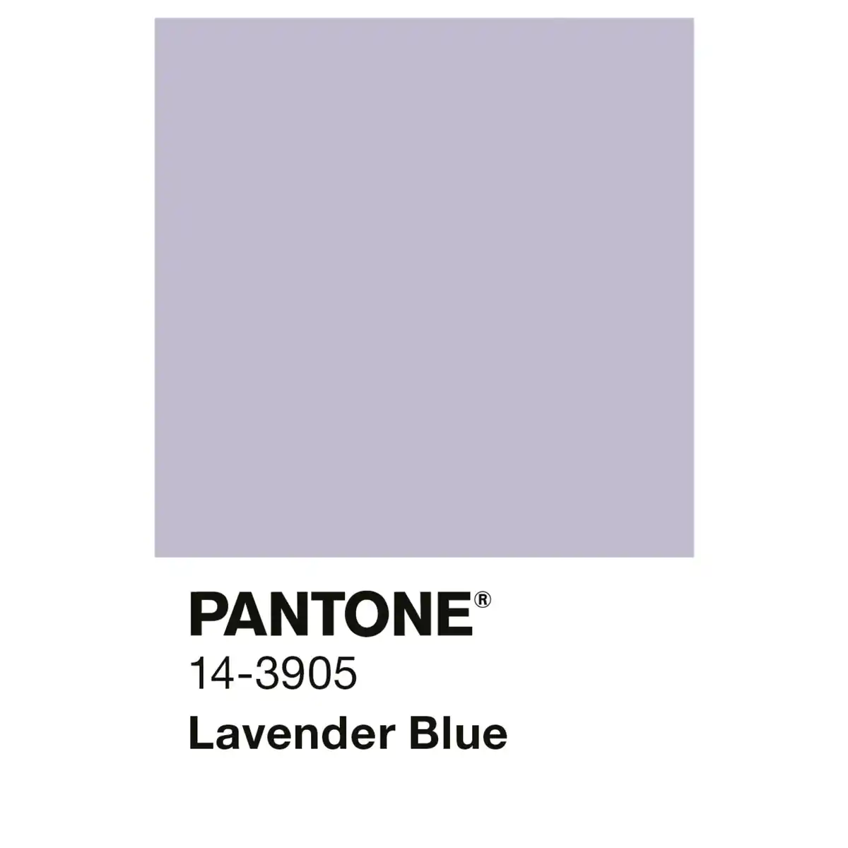Bild 3 von ALPINA Wandfarbe »PANTONE«, Lavender Blue, matt, 2,5 l