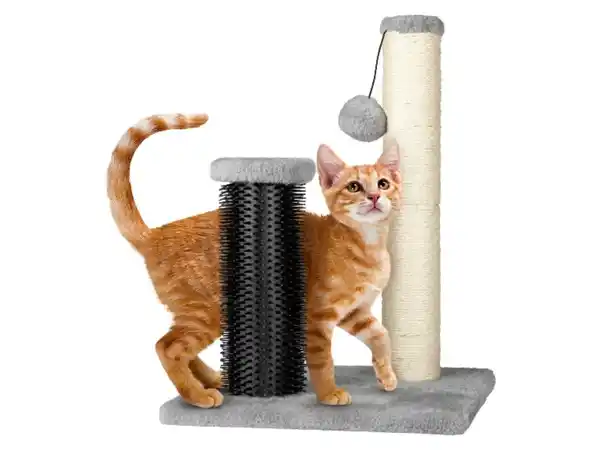 Bild 3 von zoofari® Katzen Kratzstamm mit Massageelement