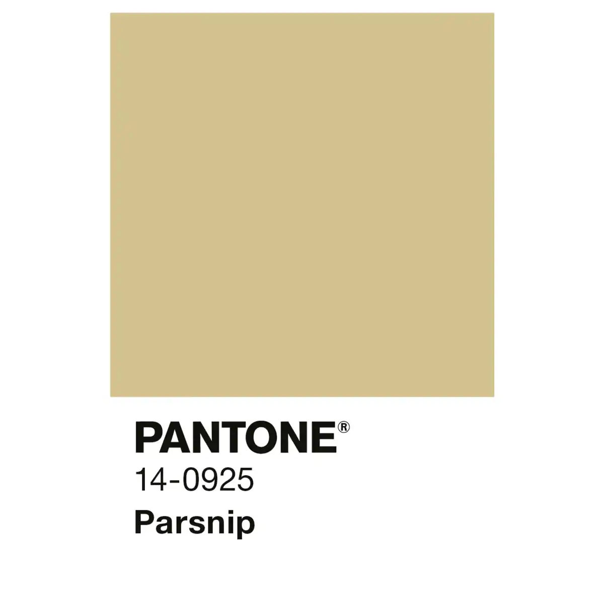 Bild 3 von ALPINA Wandfarbe »PANTONE«, Parsnip, matt, 2,5 l