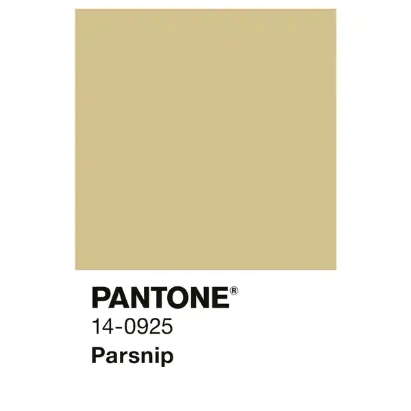 Bild 3 von ALPINA Wandfarbe »PANTONE«, Parsnip, matt, 2,5 l